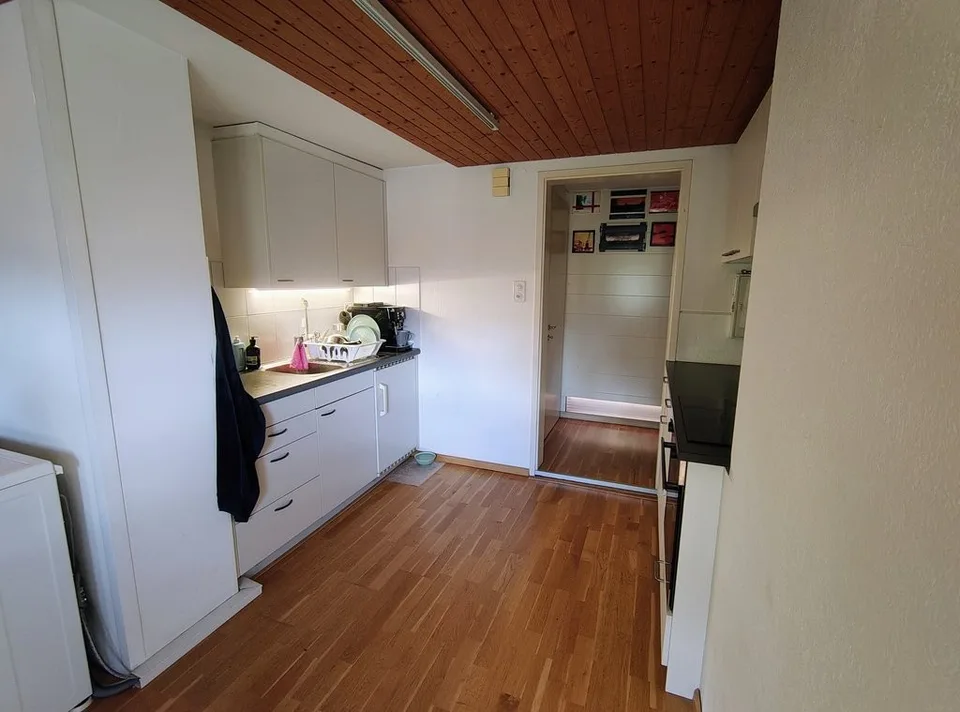 Schöne, helle 1-Zimmer Mansarde in Birsfelden