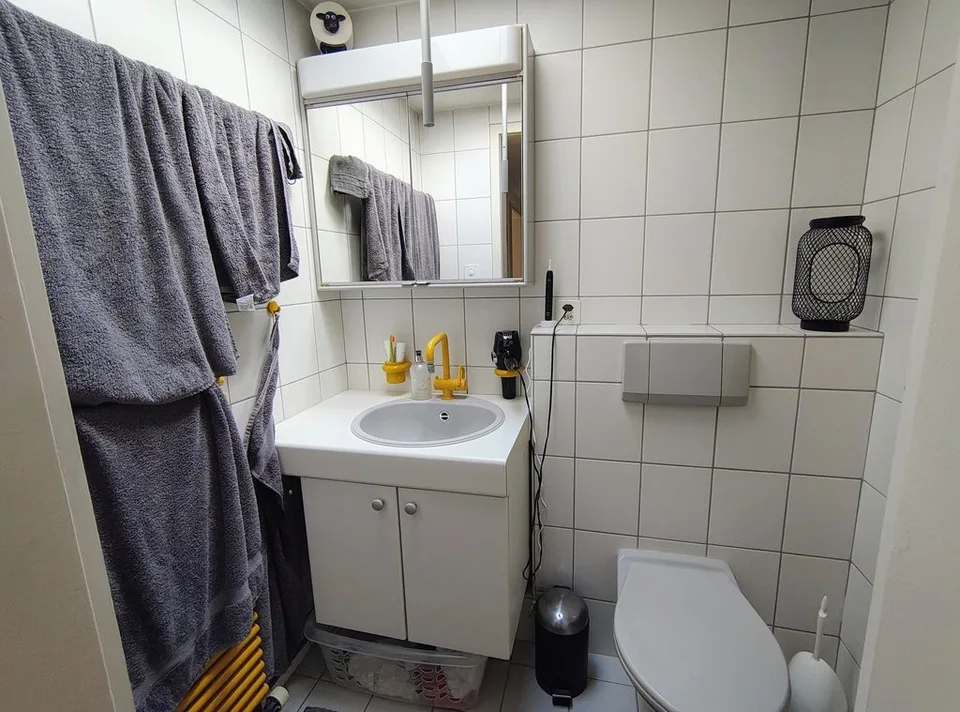 Schöne, helle 1-Zimmer Mansarde in Birsfelden