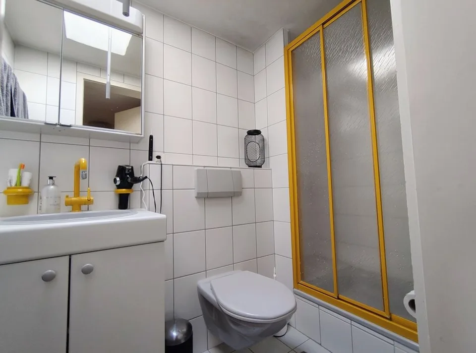 Schöne, helle 1-Zimmer Mansarde in Birsfelden