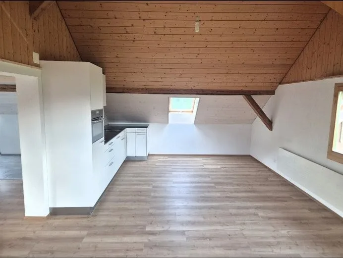 Charmante 50 m² 2.5 Zimmer Dachwohnung