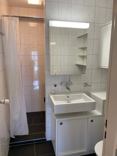 Der erste Mietzins ist geschenkt! Wohnung mit Traumhafte Stadt- und Seesicht! – Foto 10 von 10