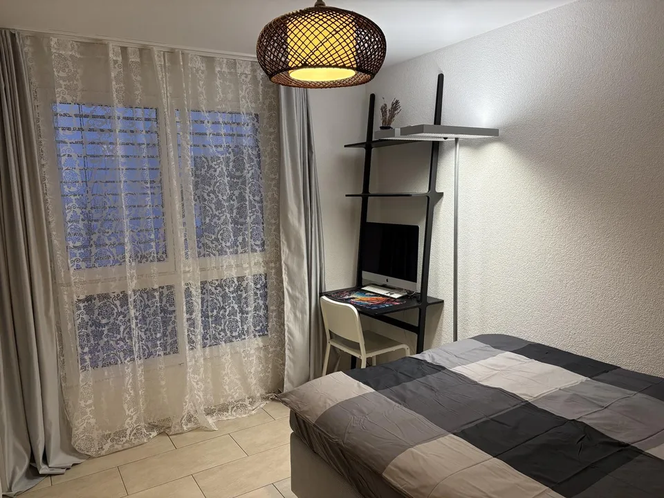 Stylish 4.5-Room Furnished Apartment for Rent in Binningen