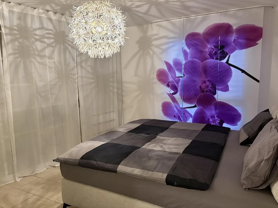 Stylish 4.5-Room Furnished Apartment for Rent in Binningen