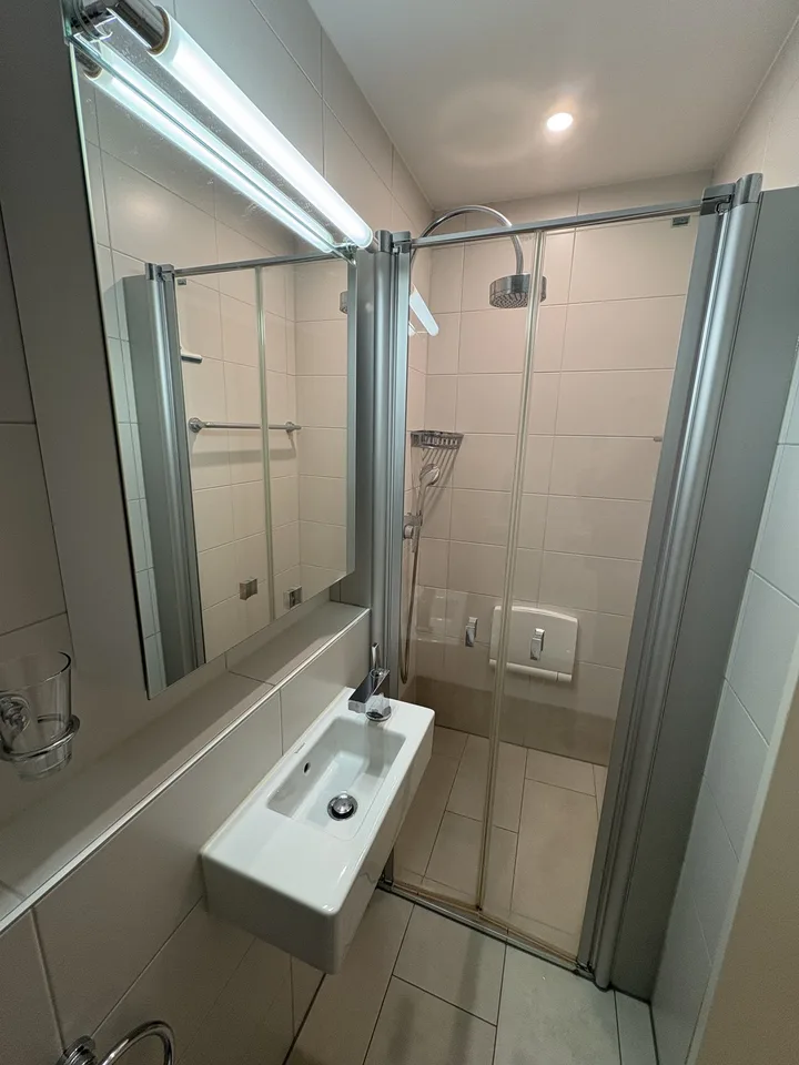 Stylish 4.5-Room Furnished Apartment for Rent in Binningen