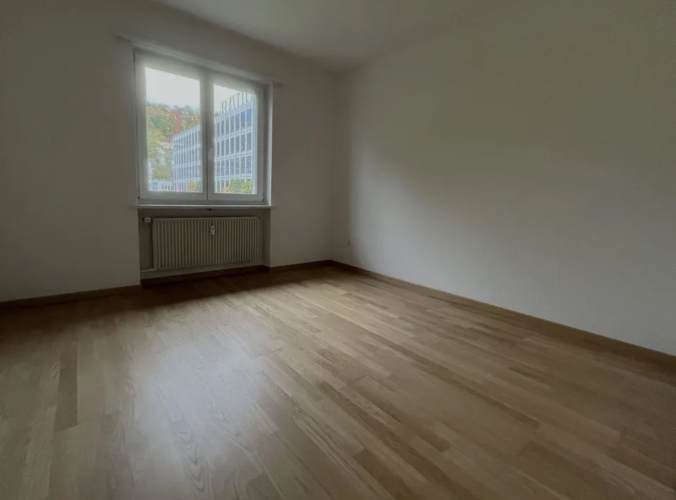 Gemütliche renovierte Wohnung in ruhigem Quartier