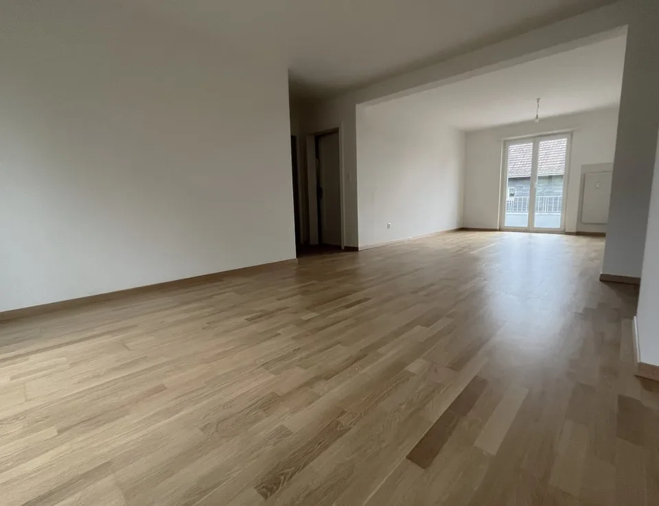 Gemütliche renovierte Wohnung in ruhigem Quartier