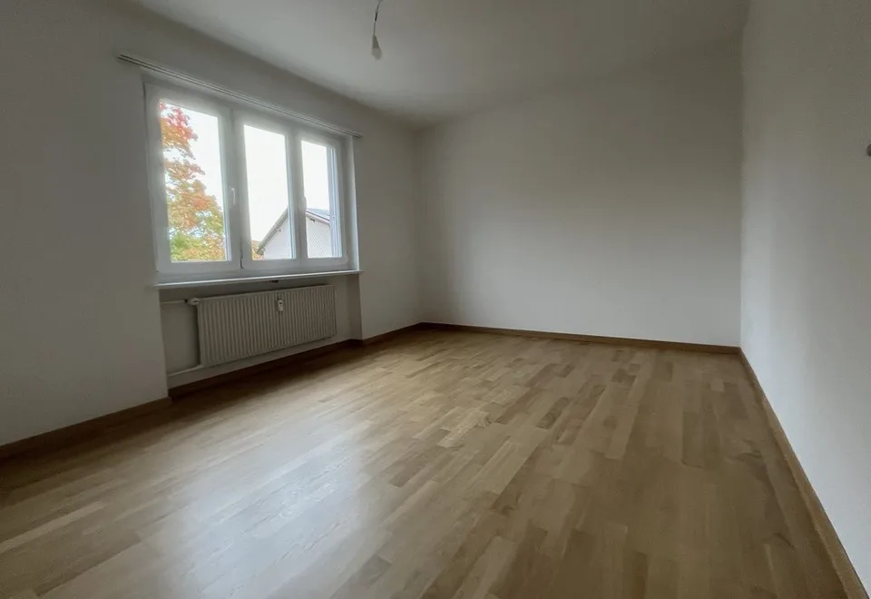 Gemütliche renovierte Wohnung in ruhigem Quartier