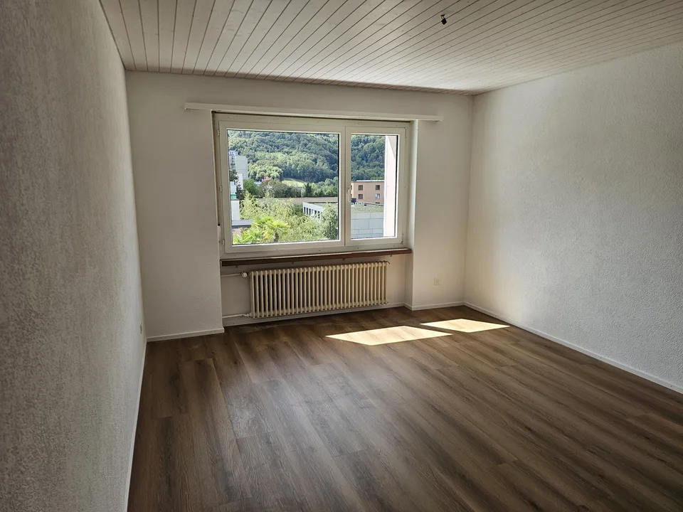 Grosszügige 5 1/2 Wohnung mit extrem schöner Terrasse