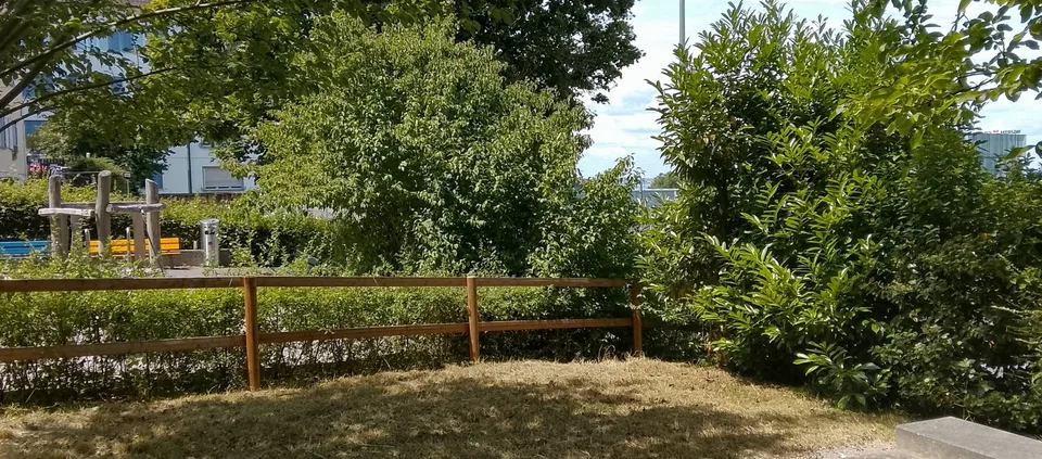 Grosses helles Studio mit Gartensitzplatz und Seesicht