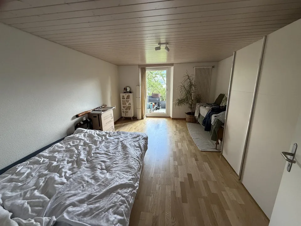 3,5 Zimmer Wohnung mit Blick auf See im Kastanienbaum