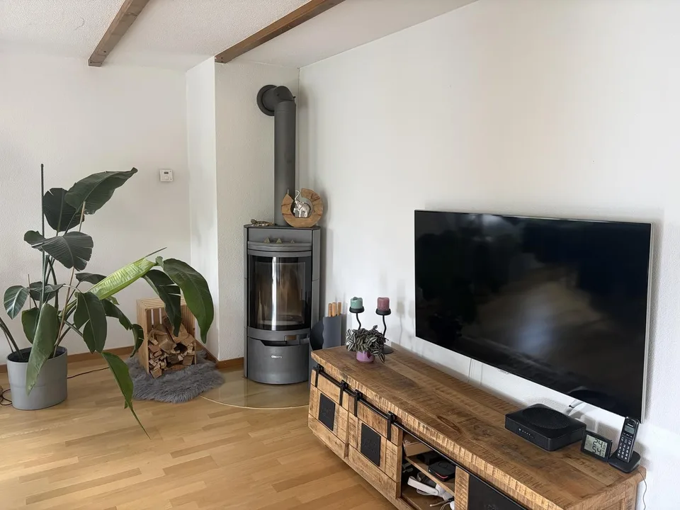 3,5 Zimmer Wohnung mit Blick auf See im Kastanienbaum