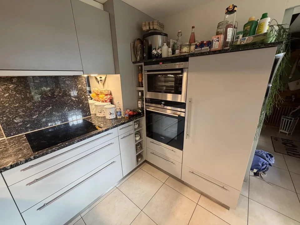 3,5 Zimmer Wohnung mit Blick auf See im Kastanienbaum