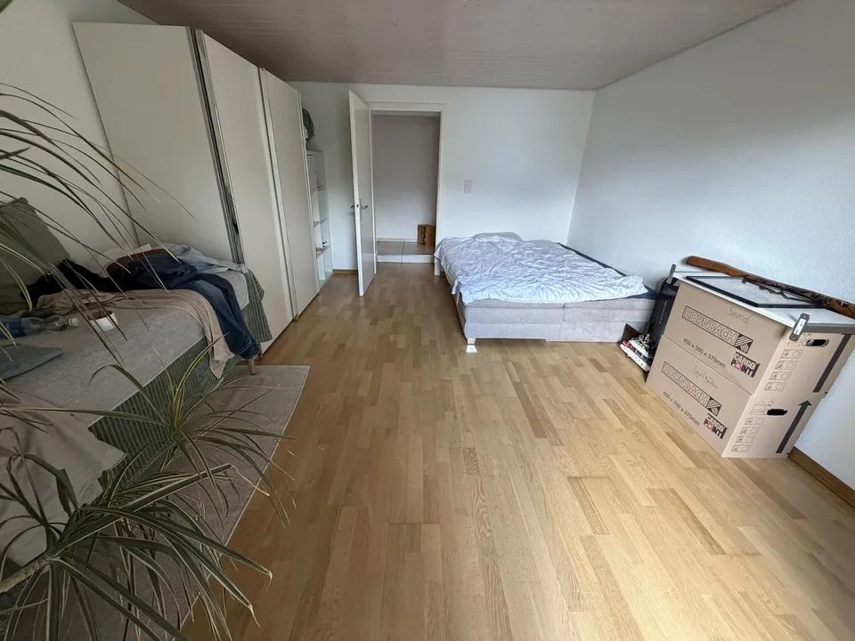 3,5 Zimmer Wohnung mit Blick auf See im Kastanienbaum