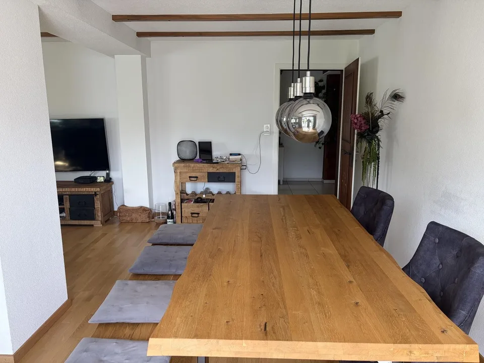 3,5 Zimmer Wohnung mit Blick auf See im Kastanienbaum