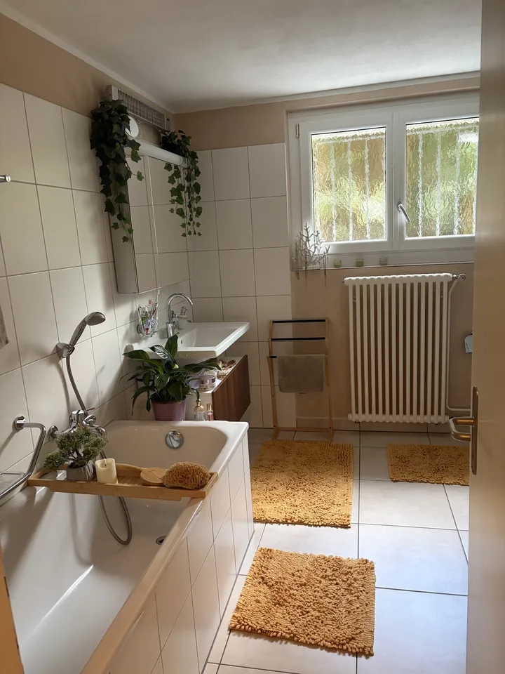 3,5 Zimmer Wohnung mit Blick auf See im Kastanienbaum