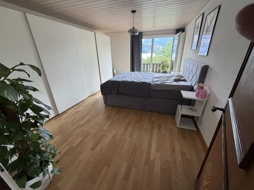 3,5 Zimmer Wohnung mit Blick auf See im Kastanienbaum