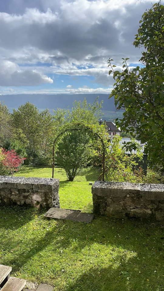 3 locali con giardino sopra la nebbia | 1'450 CHF