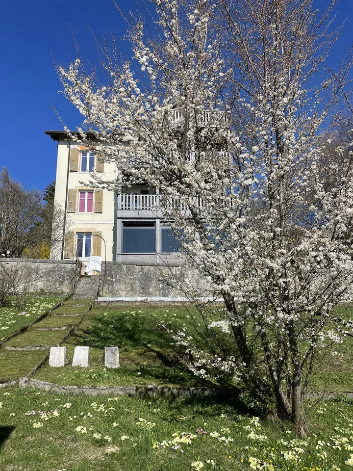 3 locali con giardino sopra la nebbia | 1'450 CHF
