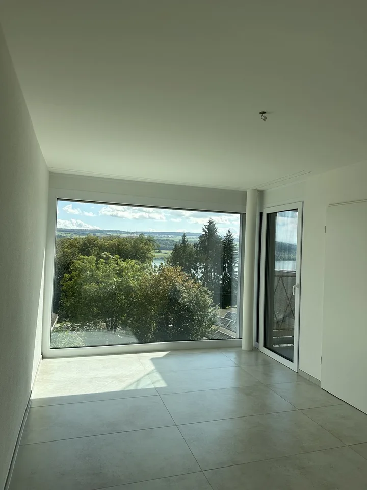 Moderne 2.5-Zimmer-Wohnung mit Panoramablick auf See und Berge