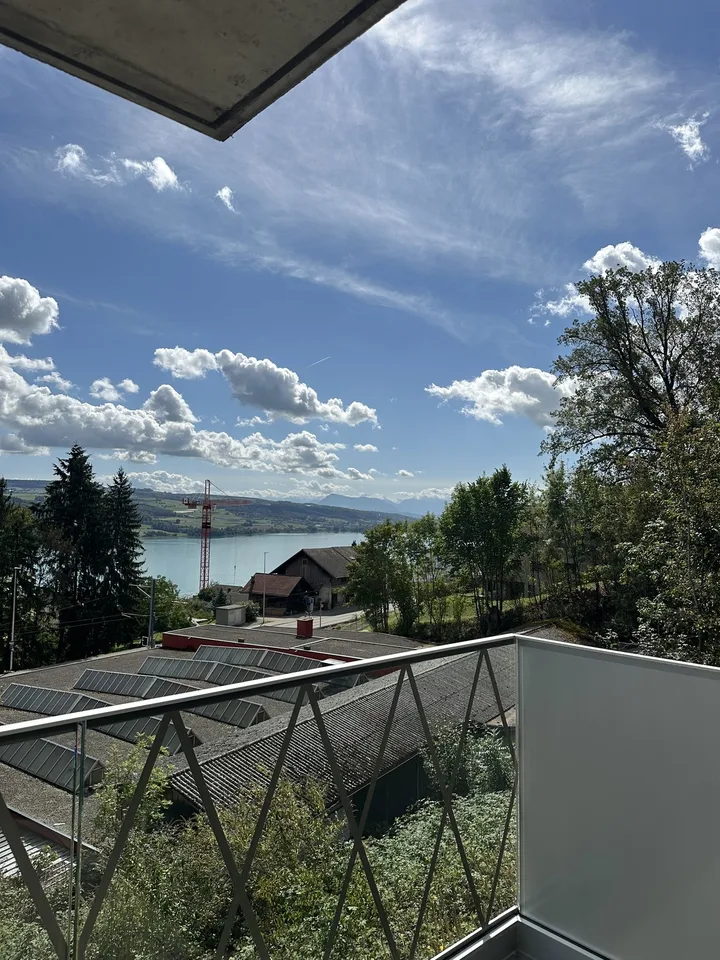Moderne 2.5-Zimmer-Wohnung mit Panoramablick auf See und Berge