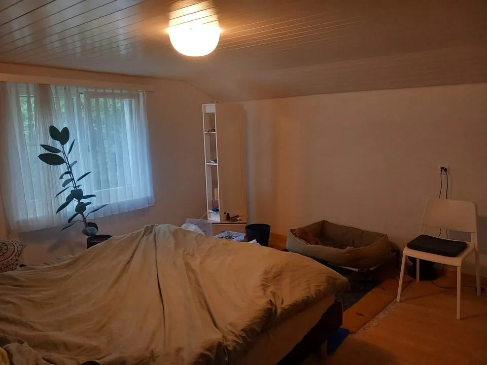 Charmante, ruhige 3 -Zimmer-Wohnung mit Seesicht