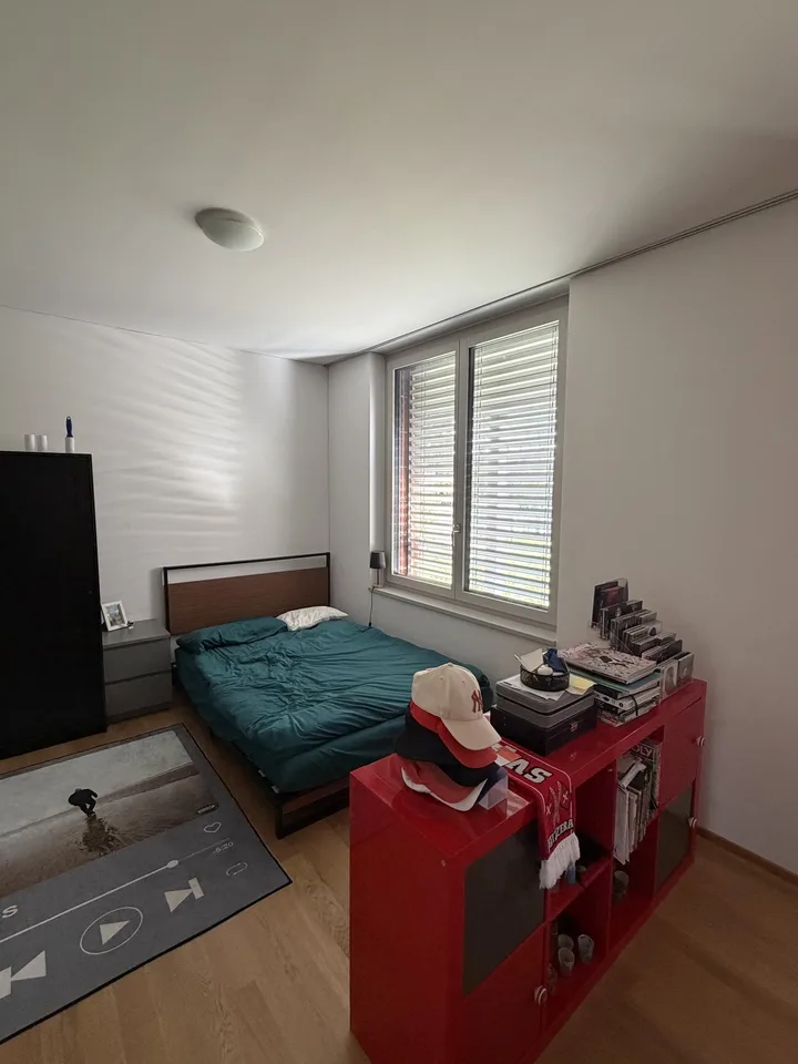 Moderne 1.5-Zimmer-Wohnung in Wetzikon