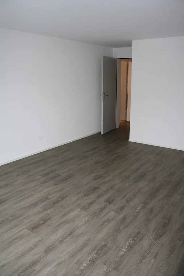 4.5-Zi-Wohnung mit Eigentumsstandard in Niederbüren