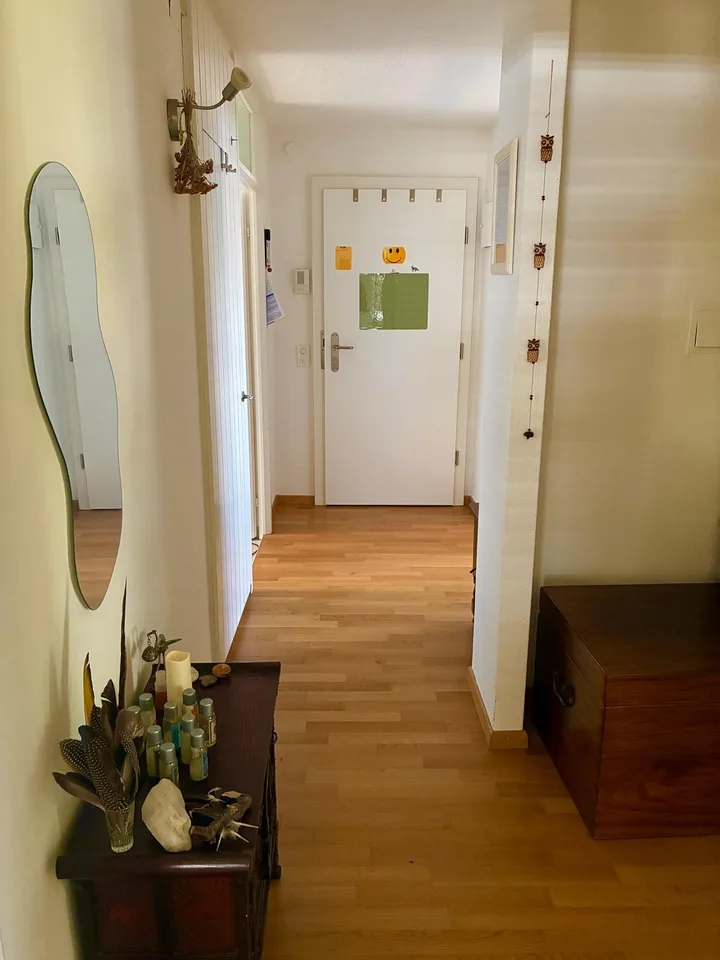 Möbelierte gemütliche Wohnung in Oberengstringen