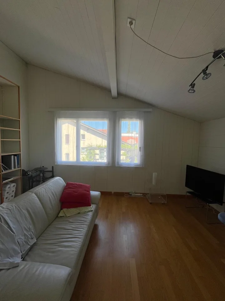 5 ½ Zimmer-Wohnung in Ebikon mieten