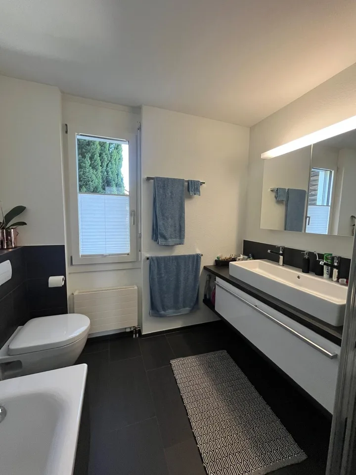 5 ½ Zimmer-Wohnung in Ebikon mieten