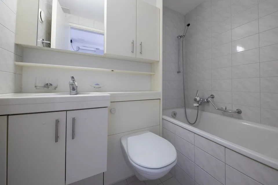 1-Zimmerwohnung direkt am Rhein!