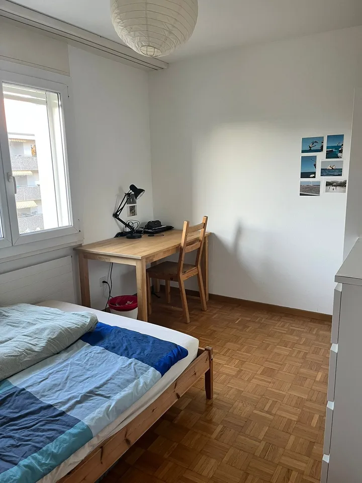 Room Available in Windisch Breite from November