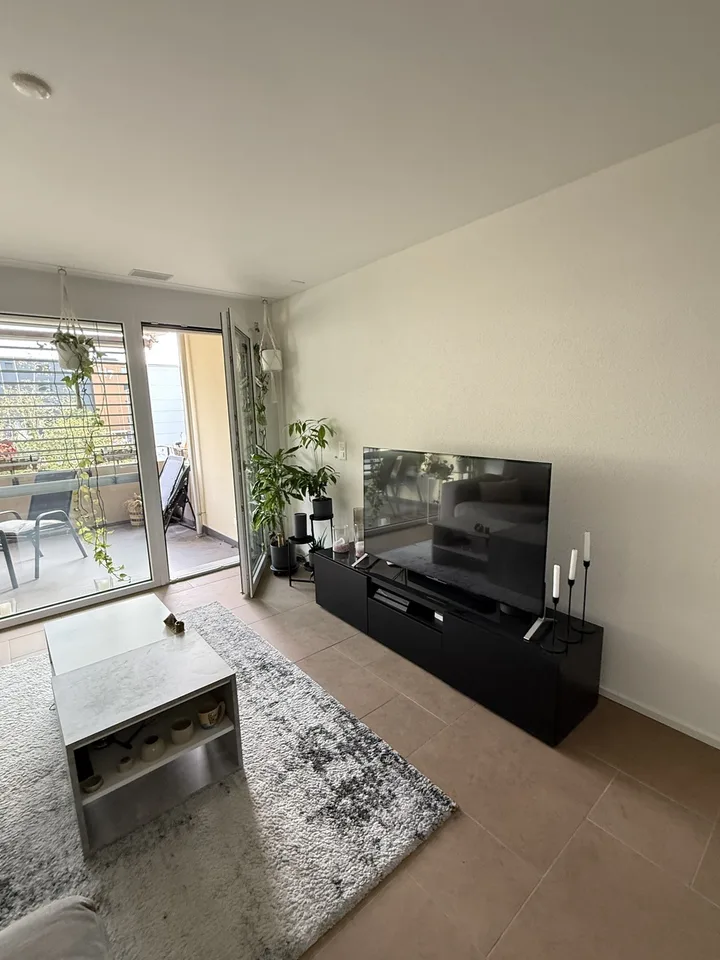 Moderne Wohnung in Hunzenschwil