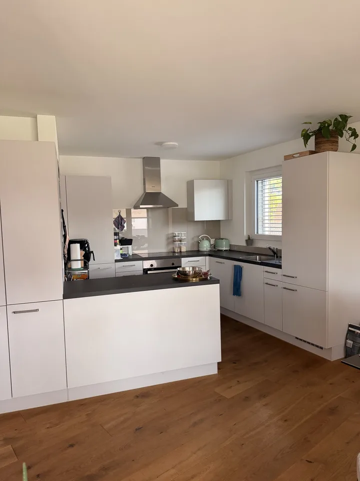 Moderne 3.5 Zimmer Neubau Wohnung in Nebikon