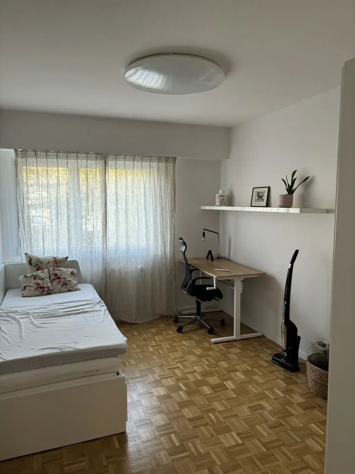 Joli appartement de 3.5 pièces, meublé/Beautiful 3.5 room, furnished apartment