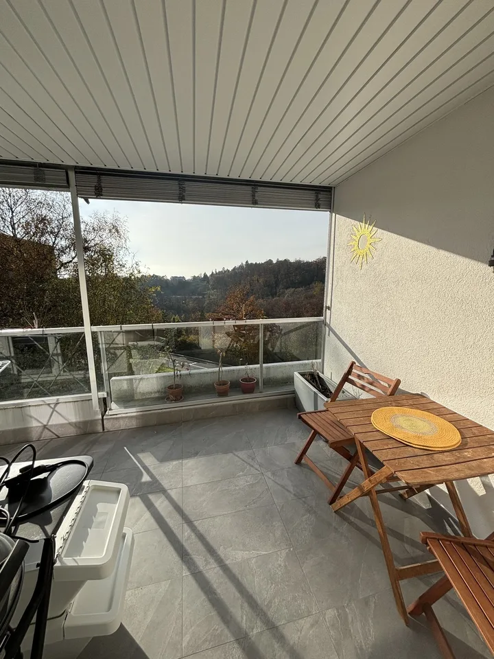 Joli appartement de 3.5 pièces, meublé/Beautiful 3.5 room, furnished apartment