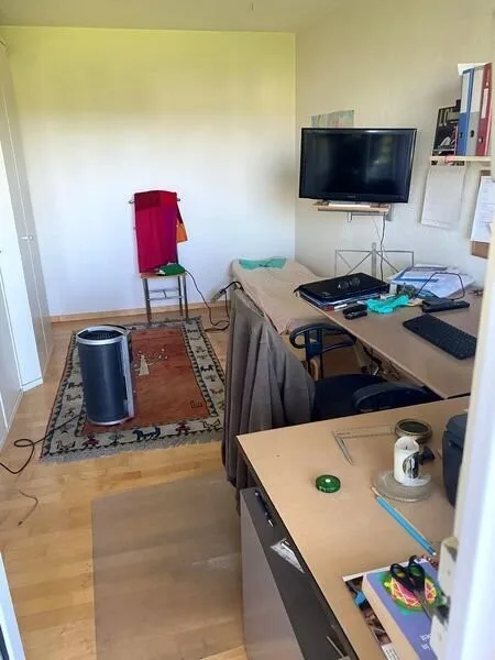 4½ ZIMMER-MAISONETTEWOHNUNG IN THALWIL (ZH), MÖBLIERT, TEMPORÄR – foto 5 di 24