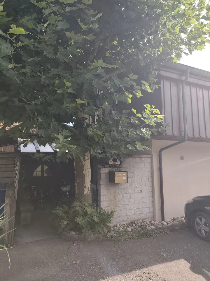 Käsereistrasse 2, 9562 Buch B. Märwil - CHF 1’800 inkl. NK pro Monat