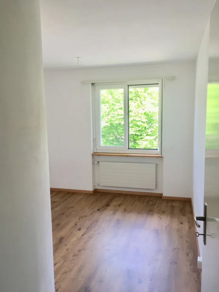 4.5 Zimmer Wohnung zentrale ruhige Lage