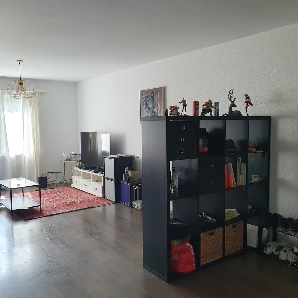 FÜR KATZENLIEBHABER IN WETZIKON (ZH), MÖBLIERT, TEMPORÄR