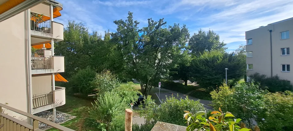 Famielinwohnung 41/2 am schübelweiher