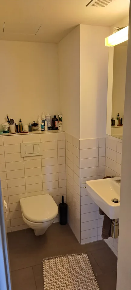 Famielinwohnung 41/2 am schübelweiher