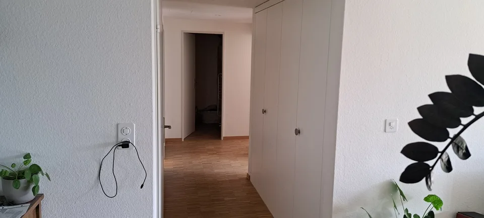 Famielinwohnung 41/2 am schübelweiher