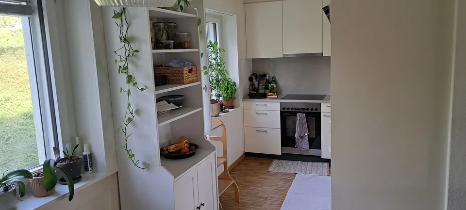 Famielinwohnung 41/2 am schübelweiher