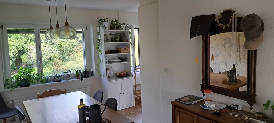 Famielinwohnung 41/2 am schübelweiher