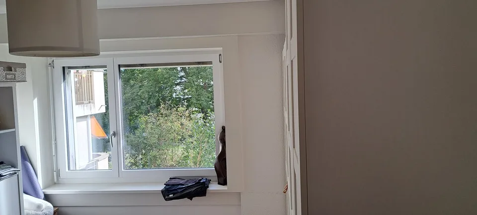 Famielinwohnung 41/2 am schübelweiher