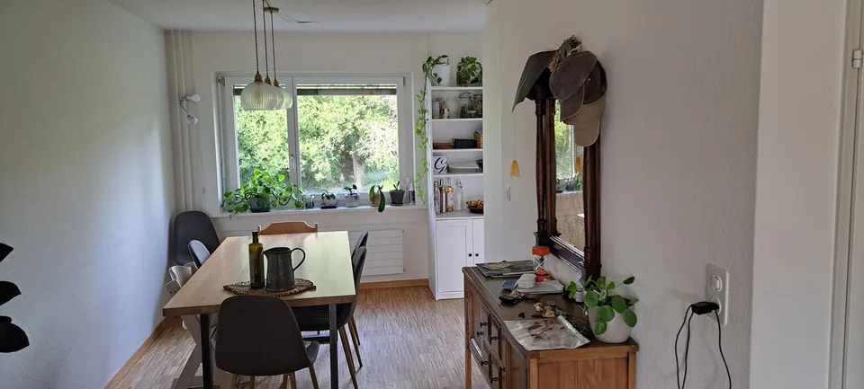 Famielinwohnung 41/2 am schübelweiher