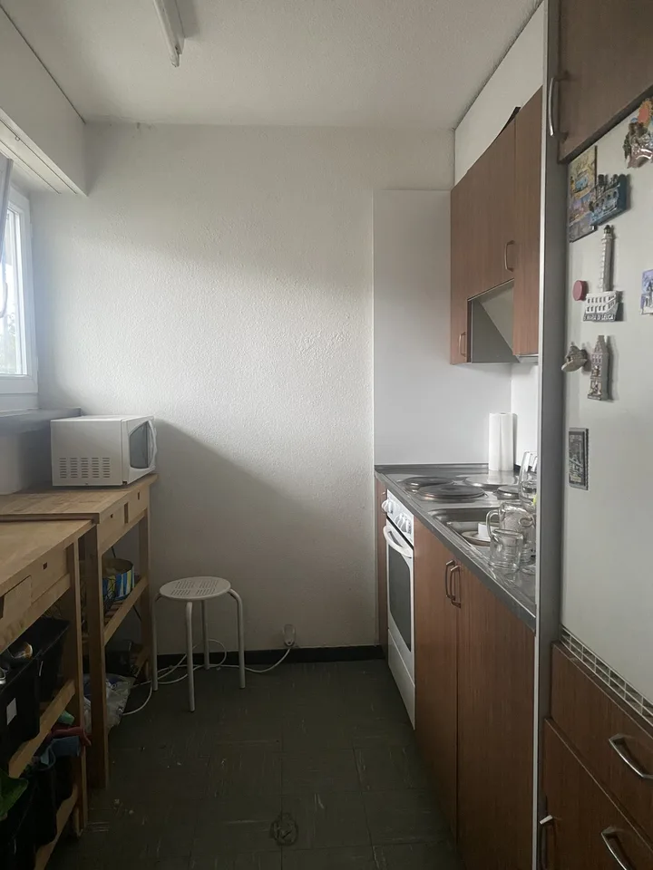 Room in Hedingen - 28 min from Zürich HB