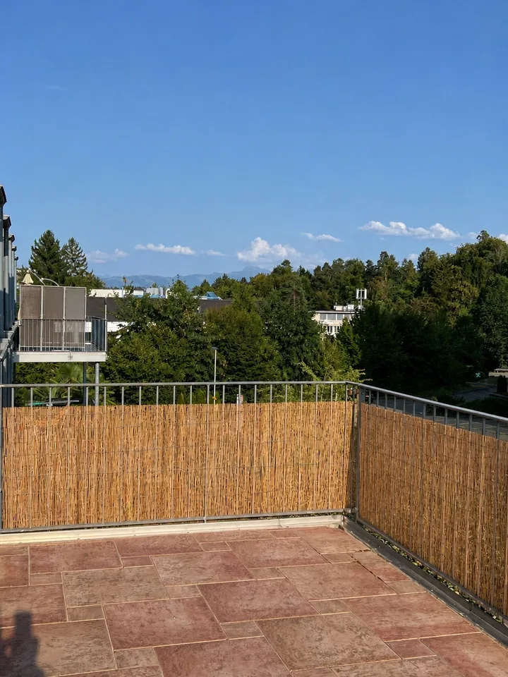 Charmante 4½-Zimmer-Dachwohnung mit sonniger Terrasse und viel Privatsphäre – Foto 11 von 20