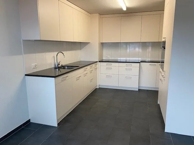 Appartement familial moderne à Frenkendorf